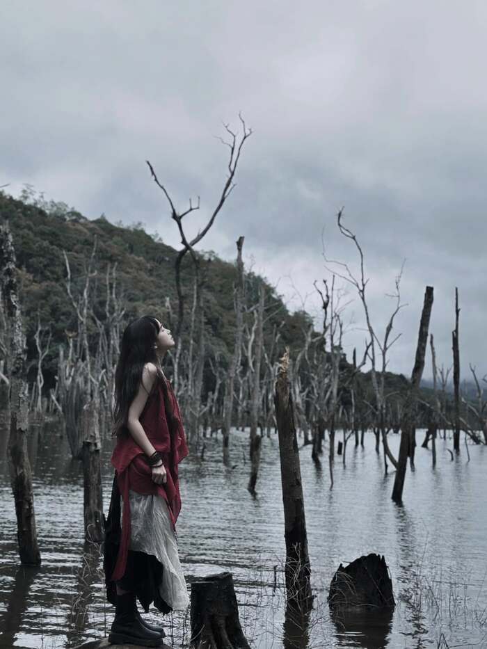 Chiêm ngưỡng khung cảnh Rừng chết Măng Đen độc đáo