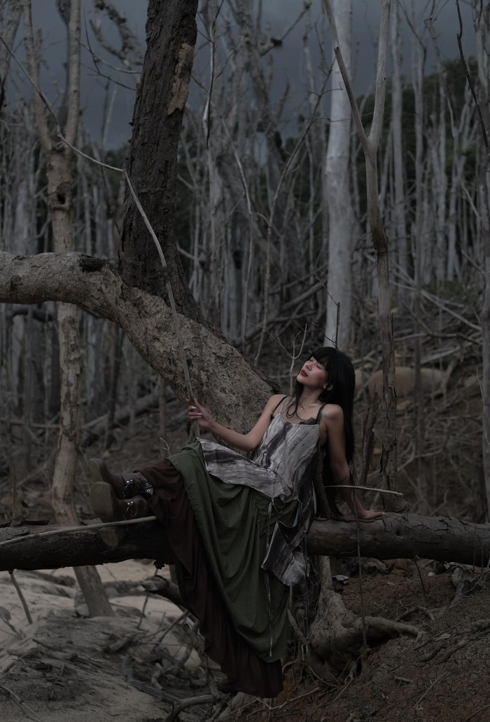 Săn ảnh ở Rừng chết Măng Đen