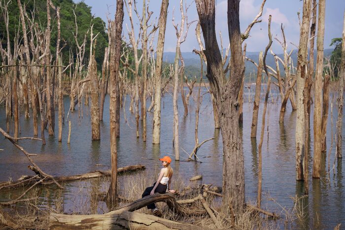 Chiêm ngưỡng khung cảnh Rừng chết Măng Đen độc đáo