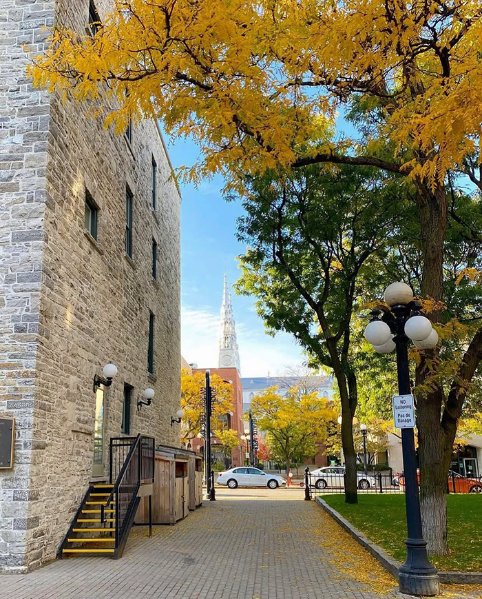 Mùa thu (tháng 9 – tháng 11) tại thủ đô Ottawa Canada