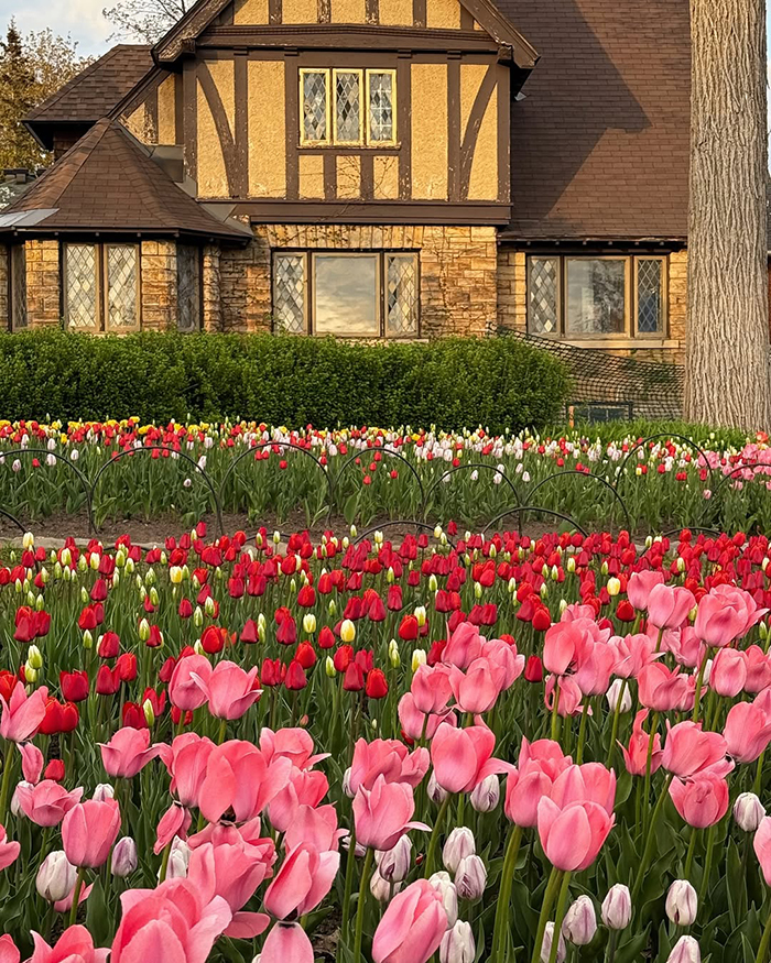 Khám phá thủ đô Ottawa Canada thu hút nhiều du khách mỗi năm