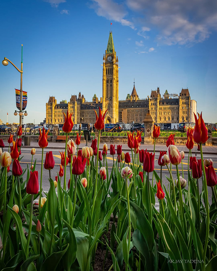 Thủ đô Ottawa Canada  nổi bật với sự đa văn hóa và song ngữ