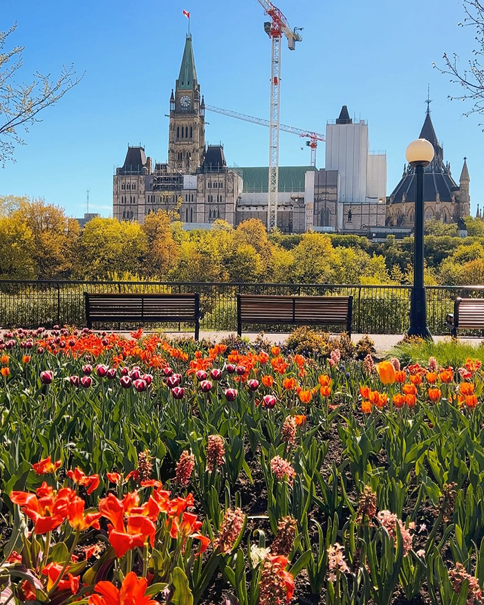 Bảo tàng Nghệ thuật Canada (National Gallery of Canada) tại thủ đô Ottawa Canada