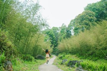 [Cập nhật] Làng Sảo Há Hà Giang Tuyên Quang: Ngôi làng địa ngục bị bỏ quên