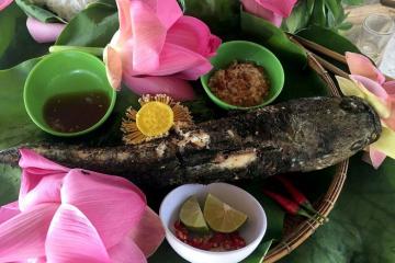 Ai ơi về Đồng Tháp ăn cá lóc nướng cuốn lá sen non!