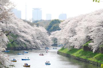 Ghé thăm công viên Ueno Nhật Bản - Lá phổi xanh giữa lòng Tokyo