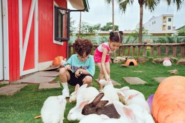 8 địa điểm đi chơi 1-6 ở Hà Nội cả ngày không biết chán