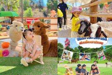 [Cập nhật] Cẩm nang du lịch chăm sóc thú cưng, tham gia workshop dịp cuối tuần tại nông trại xanh Gozoo Farm Đất Đỏ Vũng Tàu thành phố Hồ Chí Minh
