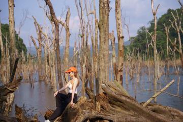 [Cập nhật] Cẩm nang du lịch rừng chết Măng Đen Quảng Ngãi: Điểm khám phá độc lạ giữa Tây Nguyên đại ngàn