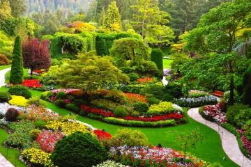 Ghé thăm vườn hoa Butchart Canada - Hành trình đến xứ sở ngàn hoa rực rỡ