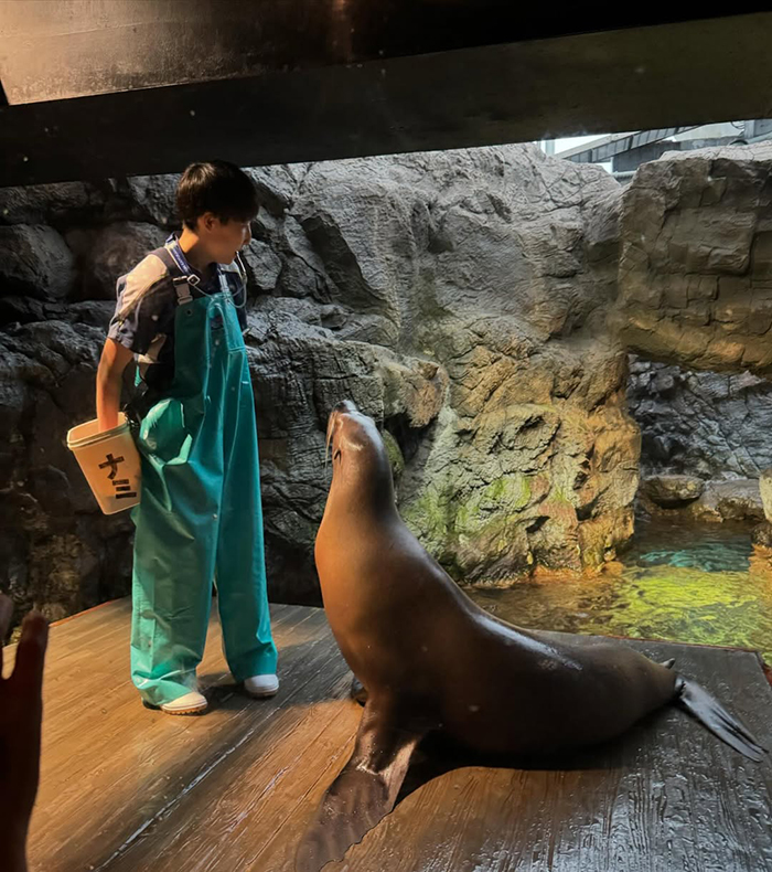 Khám phá nhiều địa điểm thú vị tại thủy cung Osaka Kaiyukan Nhật Bản