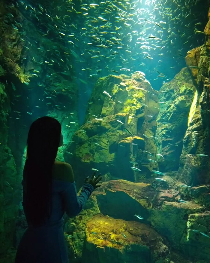 Đi tàu điện ngầm tới thủy cung Osaka Kaiyukan Nhật Bản