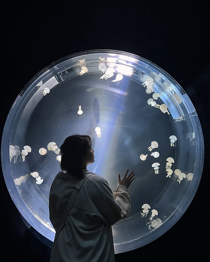 Biển nội địa Seto tại thủy cung Osaka Kaiyukan Nhật Bản