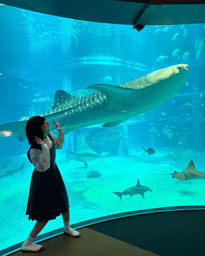 Không gian trưng bày độc đáo tại thủy cung Osaka Kaiyukan Nhật Bản