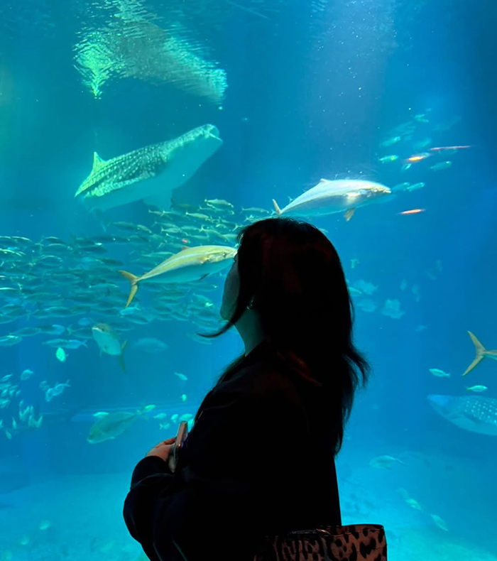 Thời điểm lý tưởng du lịch thủy cung Osaka Kaiyukan Nhật Bản