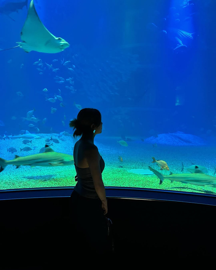 Mua vé tại thủy cung Osaka Kaiyukan Nhật Bản
