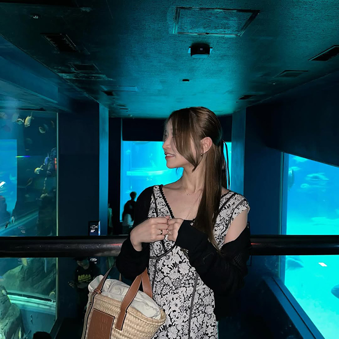 Giới thiệu về thủy cung Osaka Kaiyukan Nhật Bản