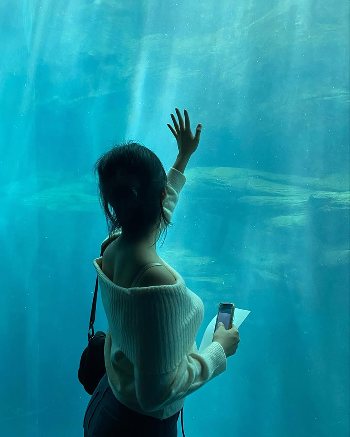 Điểm nhấn nổi bật nhất của thủy cung Osaka Kaiyukan Nhật Bản