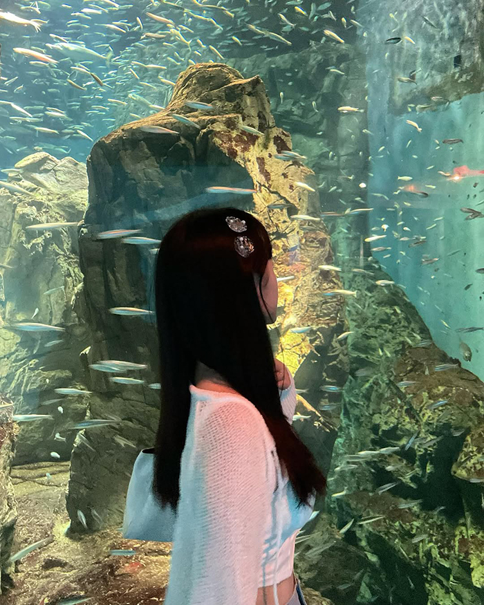 du lịch thủy cung Osaka Kaiyukan Nhật Bản vào mùa thu