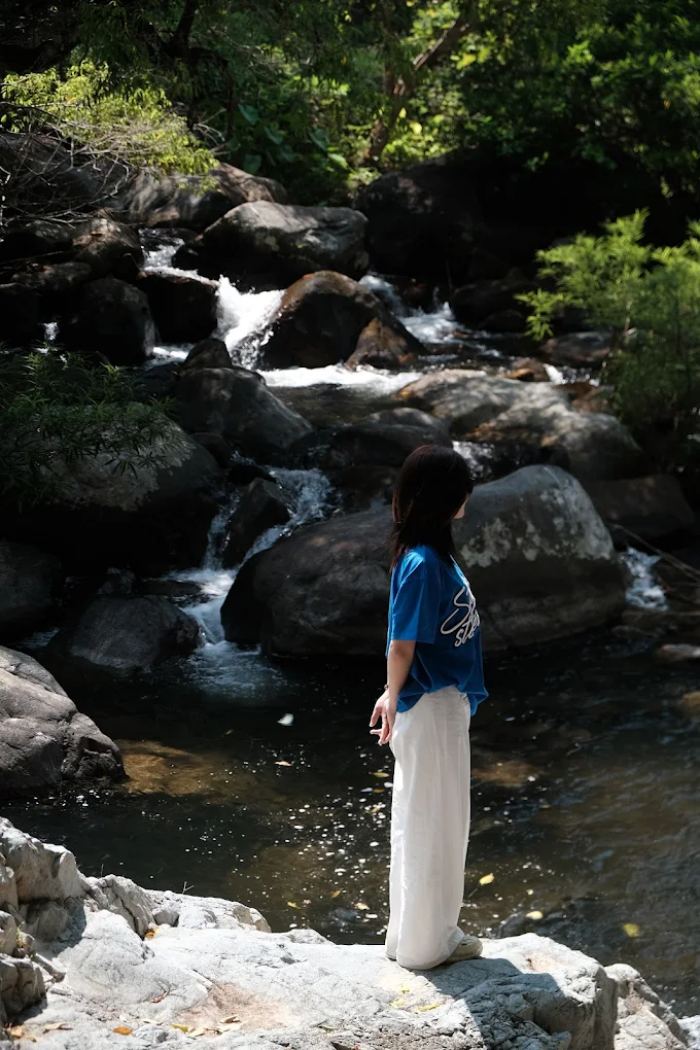 khung cảnh của rừng nguyên sinh VQG Phước Bình Ninh Thuận 