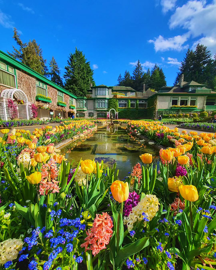 Mùa hè tại vườn hoa Butchart Canada