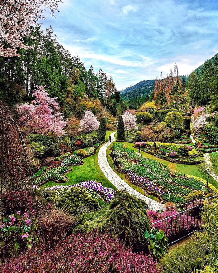 Khám phá vẻ đẹp tuyệt vời của vườn hoa Butchart Canada