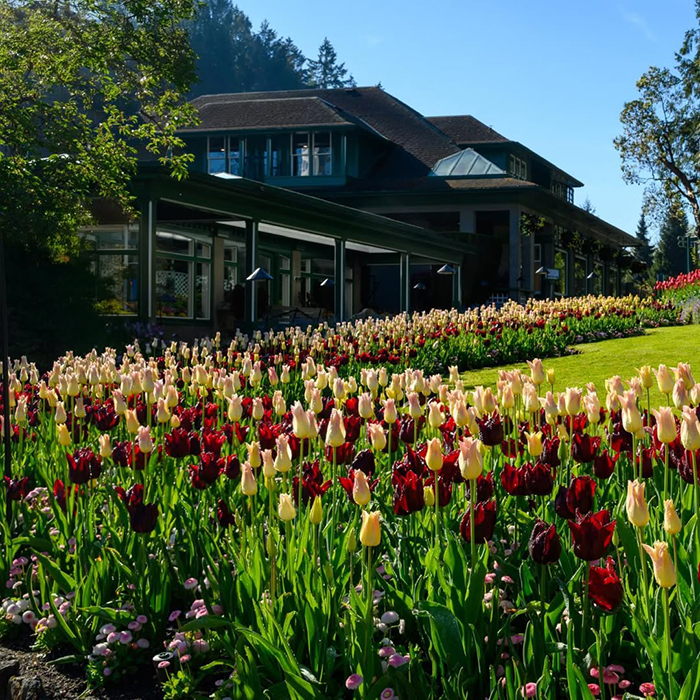 Sunken Garden - Vườn mùa hè tại vườn hoa butchart canada