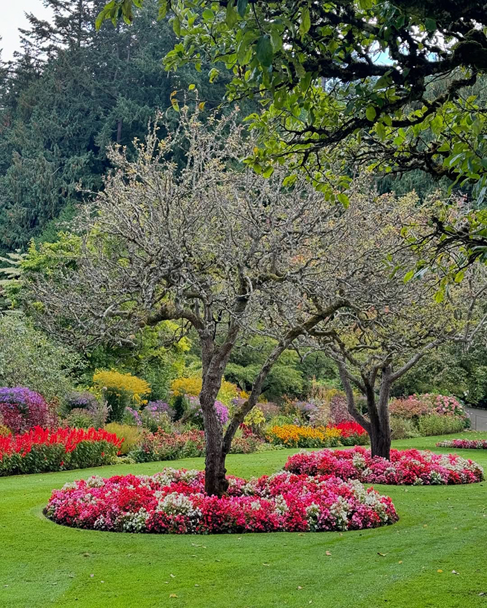 Di chuyển từ Victoria tới vườn hoa Butchart Canada