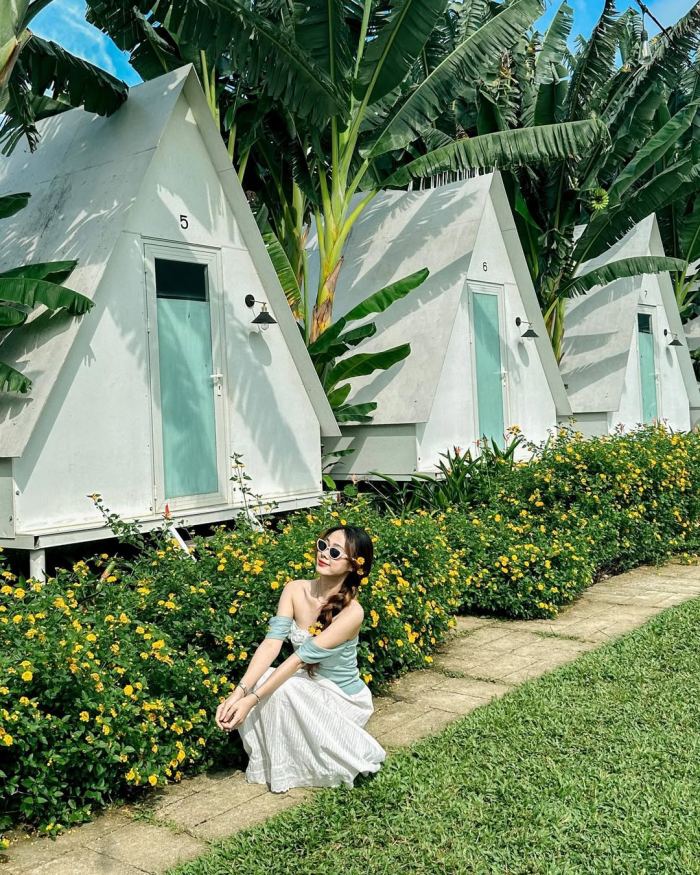 Vườn nho thung lũng Nam Yên