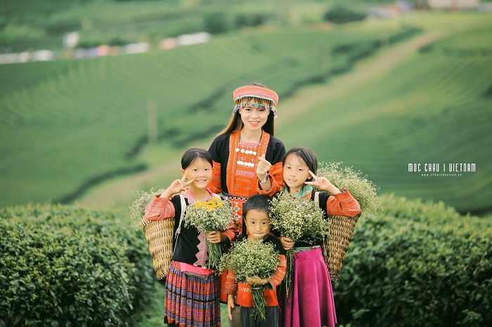 Tới điểm vui chơi ở Mộc Châu cho gia đình để hít hà hương thơm của búp chè và không khí trong lành