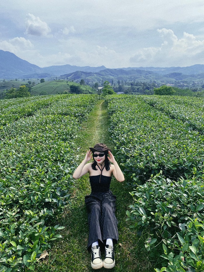 Đặc sản Phú Thọ là đồi chè xanh bạt ngàn nhiều người yêu thích