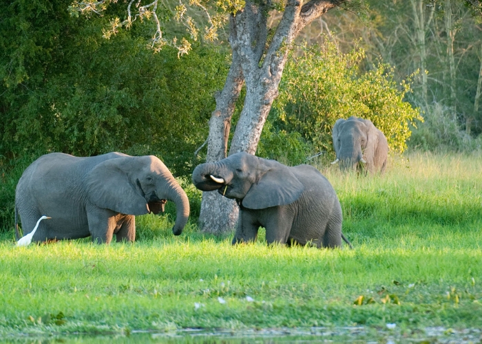 Du lịch Mozambique - Công viên quốc gia Gorongosa sở hữu cảnh quan thiên nhiên đa dạng