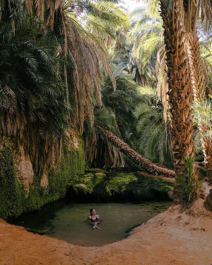Khám phá hồ Rông (Lac de Râbe) khi du lịch Mauritania
