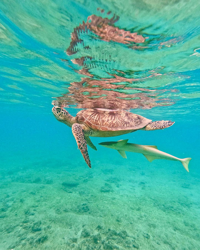Du lịch Mayotte vào mùa mưa