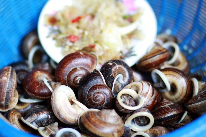 Du lịch mùa hè ở Tây Ninh thưởng thức ốc xu núi Bà Đen