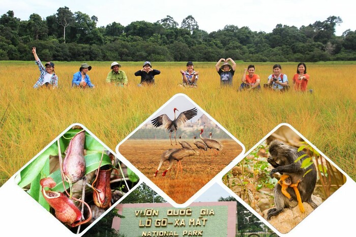 Du lịch mùa hè ở Tây Ninh đạp xe khám phá vườn quốc gia Lò Gò - Xa Mát