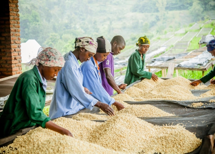 Du lịch Rwanda - Làng văn hóa Rwanda là một điểm đến tuyệt vời để tìm hiểu về cuộc sống của người dân địa phương