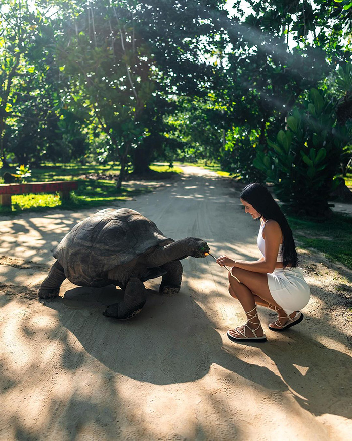 Khám phá vườn quốc gia Vallée de Mai khi du lịch Seychelles