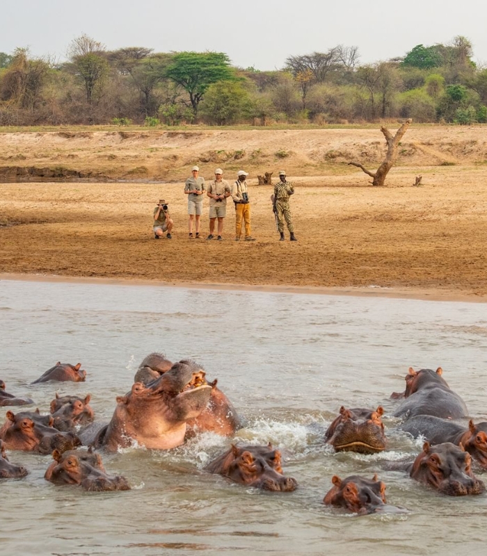 Du lịch Zambia - Vườn quốc gia Kafue là nơi sinh sống của nhiều động vật hoang dã