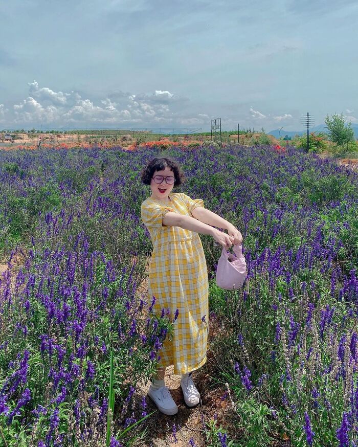 mùa hoa tháng 6 ở Đà Lạt - lavender tím lãng mạn