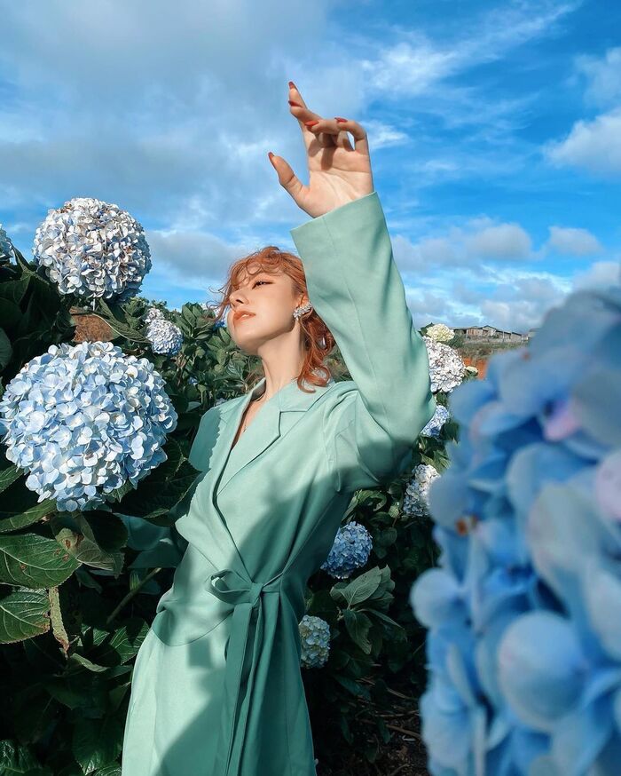 mùa hoa tháng 6 ở Đà Lạt - cẩm tú cầu kiêu kỳ, trang nhã