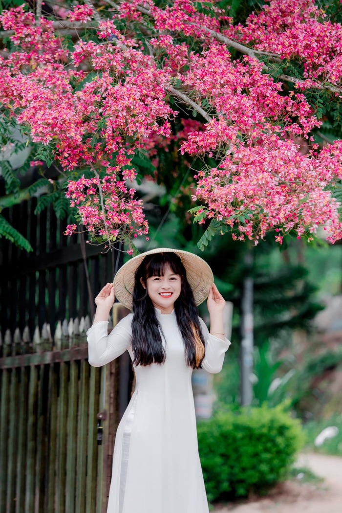 các mùa hoa tháng 6 ở Đà Lạt thơ mộng khiến bao du khách săy mê