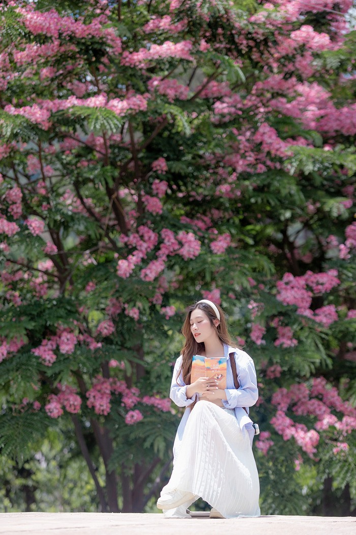 mùa hoa tháng 6 ở Đà Lạt - phượng hồng ngọt ngào, lãng mạn