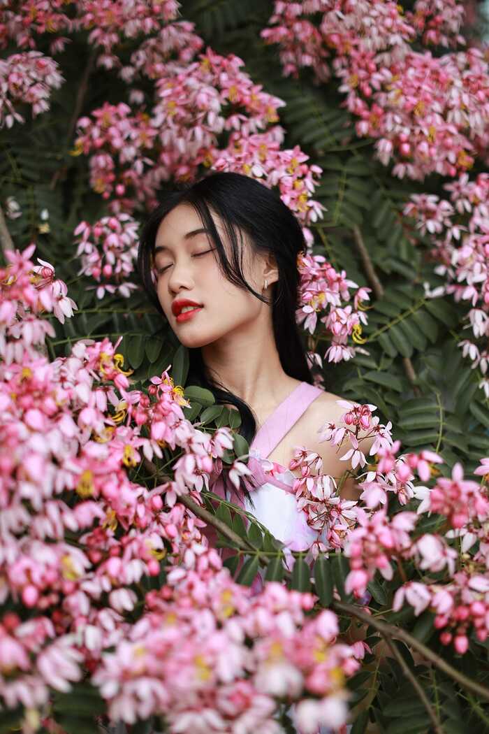 mùa hoa tháng 6 ở Đà Lạt - phượng hồng ngọt ngào, lãng mạn