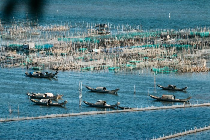 Du lịch Phá Tam Giang 