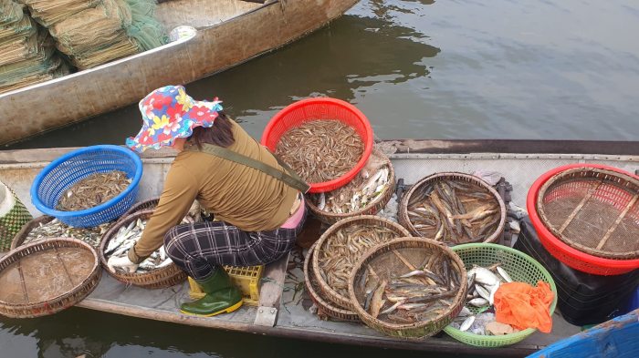 Du lịch Phá Tam Giang 