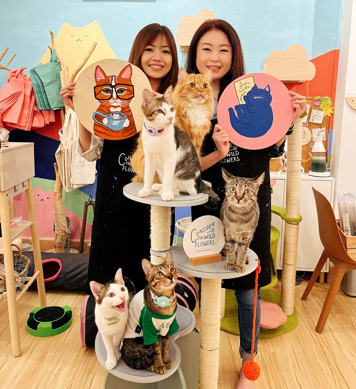 quán cà phê thú cưng ở Singapore