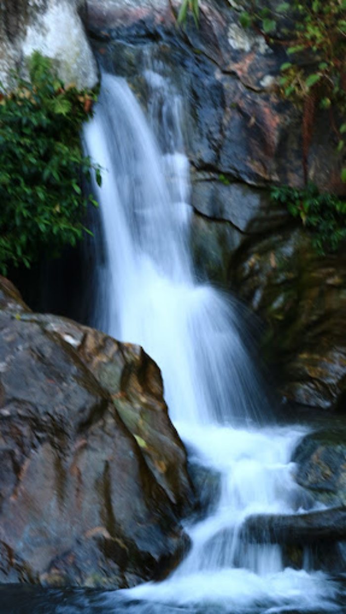 suối cá vàng Khe Tọ