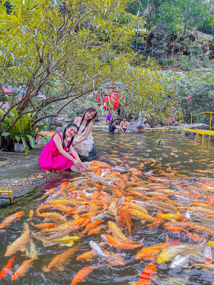 suối cá vàng Khe Tọ