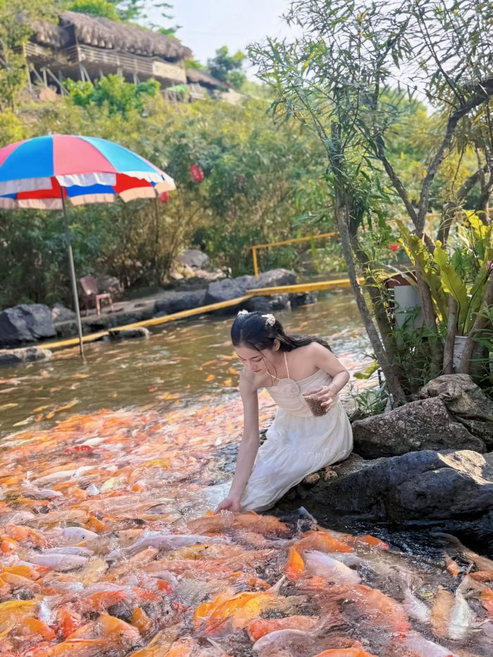 suối cá vàng Khe Tọ